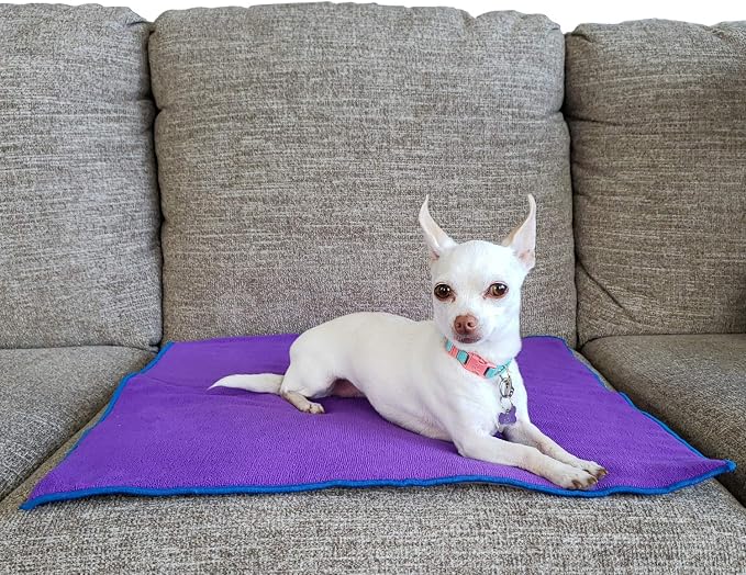 Waterproof Seat Pad for Incontinence, Purple/Blue, 22 x 22 Inches