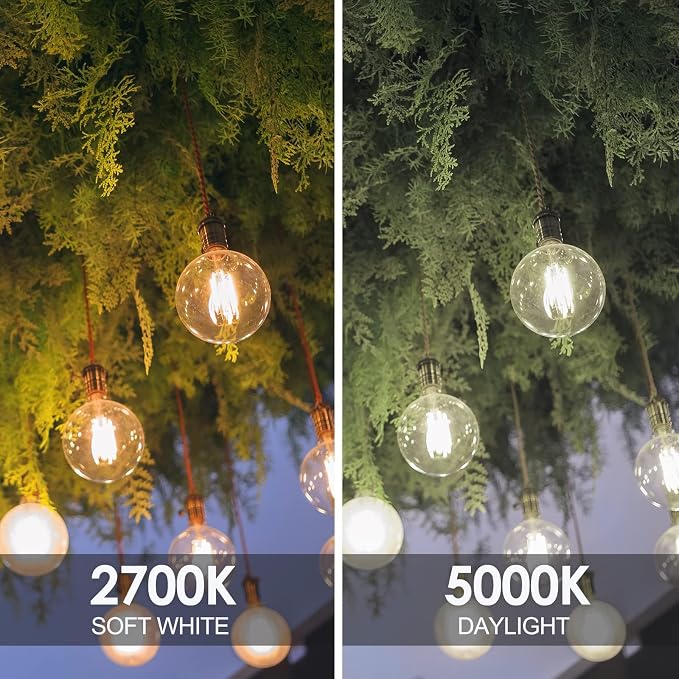 E ENERGETIC LIGHTING Dimmable LED Edison Light Bulb, G25 (G80) Globe Bulb, 60W Equivalent, 5000K Daylight, Christmas Light, E26 Standard Base, ETL Listed, 10-Pack