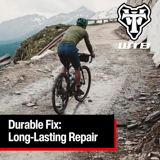 WTB Tubeless Bike Tire Sealant (4 oz to 1 Gallon) - Quick Seal for Punctures up to 6mm - All Conditions