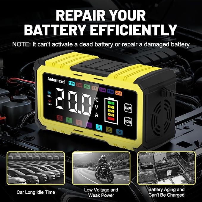 20A 12V/24V Battery Charger LiFePO4 Lead Acid Battery Maintainer,Battery Desulfator with Temperature Compensation,Smart Car Battery Trickle Charger for Car Truck Motorcycle Lawn Mower Boat