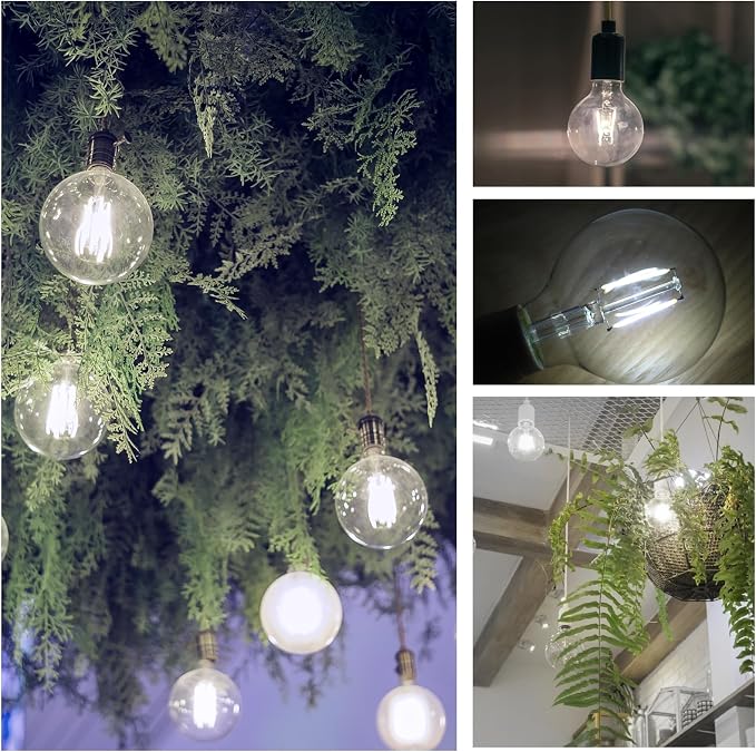 E ENERGETIC LIGHTING 5W Dimmable G25 LED Edison Light Bulb, G25 (G80) Globe Bulb, 60W Equivalent, 5000K Daylight, Christmas Light, E26 Standard Base, ETL Listed, 6-Pack