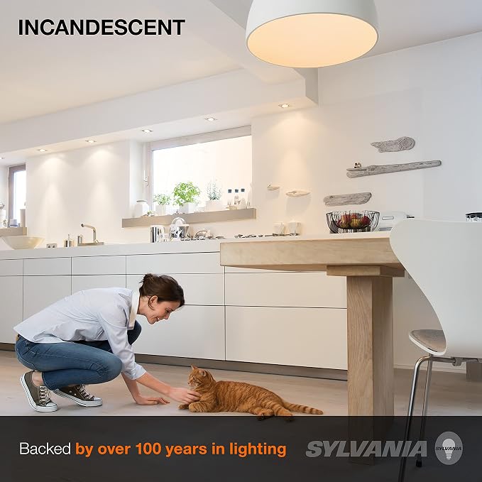 Sylvania Incandescent Light Bulb, 25W A19, Dimmable, Medium Base, 160 Lumens, 2850K, Soft White - 2 Pack (10562)