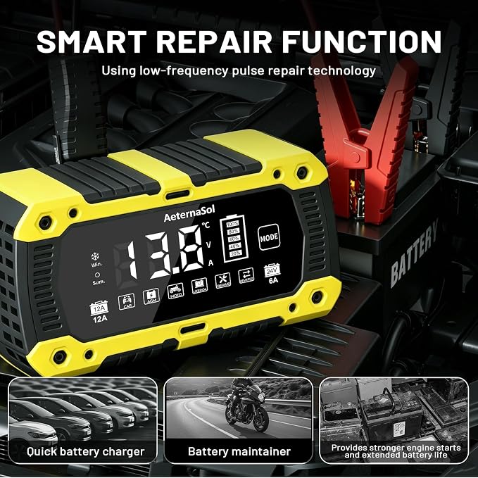 Battery Charger 12-Amp 12V and 24V LiFePO4 Car Battery Charger Battery Maintainer Trickle Charger and Battery Desulfator with Temperature Compensation for Car Truck Lawn Mower Boat Batteries