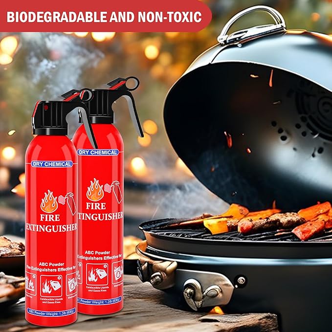 ABC Dry Chemical Fire Extinguisher with Wall Mount - Household Marine Fire Extinguisher for Kitchen Home, Car, Boat, Truck, Electrical, Grease Fires