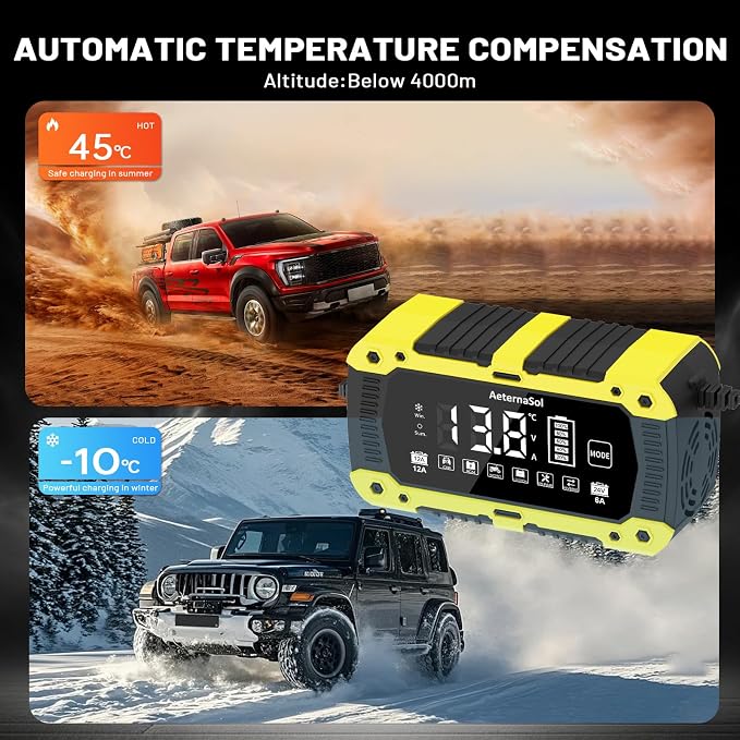 Battery Charger 12-Amp 12V and 24V LiFePO4 Car Battery Charger Battery Maintainer Trickle Charger and Battery Desulfator with Temperature Compensation for Car Truck Lawn Mower Boat Batteries