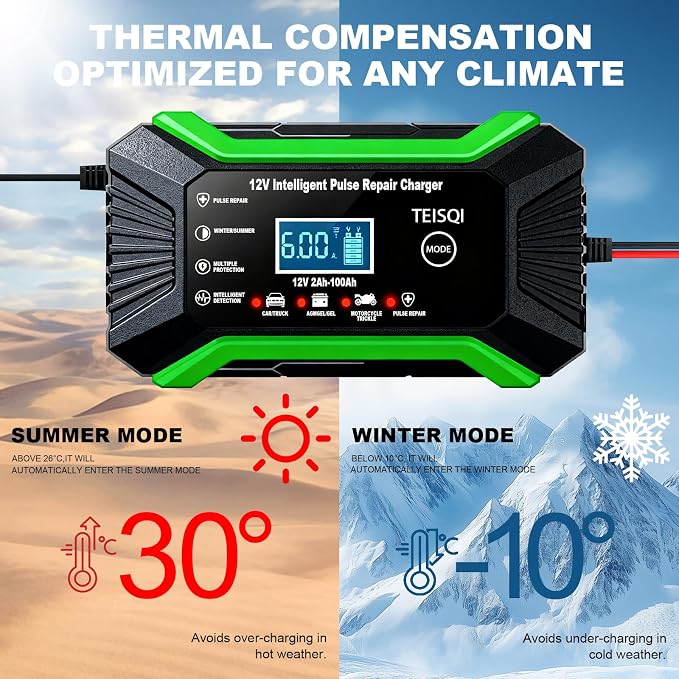 Car Battery Charger, 12V 6A Smart Battery Trickle Charger Automotive 12V Battery Maintainer Desulfator with Temperature Compensation for Car Motorcycle Mower Marine Lead Acid Batteries (Green)