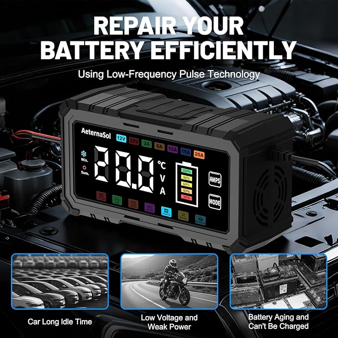20A Smart Car Battery Charger, 12V/24V Battery Charger, Automatic Battery Maintainer Desulfator Compatible with LiFePO4, AGM, Gel, Lead-Acid, Trickle Charger for Truck, Motorcycle, RV, Boat (Black)