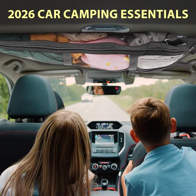 31.5"x21.6" car Ceiling Cargo net for 3-Handle & 4-Handle Vehicles, Double-Layer roof Storage Organizer, mesh car Storage for Road Trips, Camping, SUV, Jeep, 4runner, Ford, Chevy
