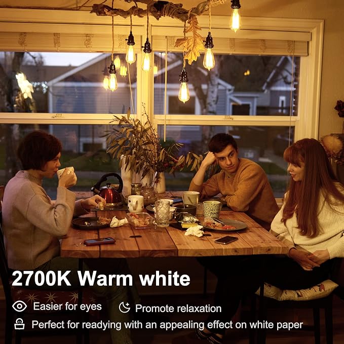 TJOY LED Edison Light Bulbs, E26 Dimmable Vintage Bulb, 8W = 60W Equivalent | Warm White 2700K, 800LM, E26 Base, ST19/58, 80+ CRI, Clear Glass, Antique Decorative Filament Bulb for Living Room, 10 Pack