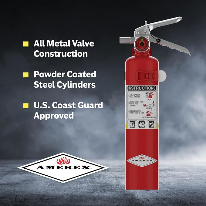 Amerex ABC, Dry Chemical Fire Extinguisher - B417T - 2.5 Pounds