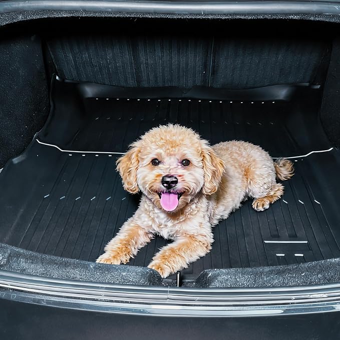 Trunk Mat Compatible with Tesla Model 3 2024 2025 2026 (Highland) - Custom Fit All-Weather TPE Cargo Liner, Waterproof Rear Boot Mat, Heavy Duty Anti-Slip Interior Accessories, Black