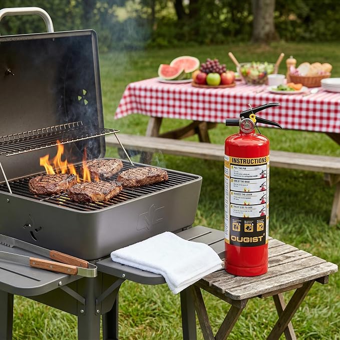 Ougist Essential Fire Extinguisher for Home, 1-A:10-B:C, DRY1L, 1 Pack | Residential Multi-Purpose Extinguisher for Small Household, Kitchen, Garage and Vehicle Fires; 2.5 Lb, Dry Chemical
