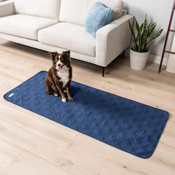 PetAmi Waterproof Couch Cover for Dogs, Non-Slip Leakproof Sofa Furniture Protector for Pet Cat, Machine Washable Bed Blanket for Car Seat, 30x70 Blue