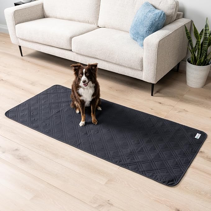 PetAmi Waterproof Couch Cover for Dogs, Non-Slip Leakproof Sofa Furniture Protector for Pet Cat, Machine Washable Bed Blanket for Car Seat, 30x70 Gray