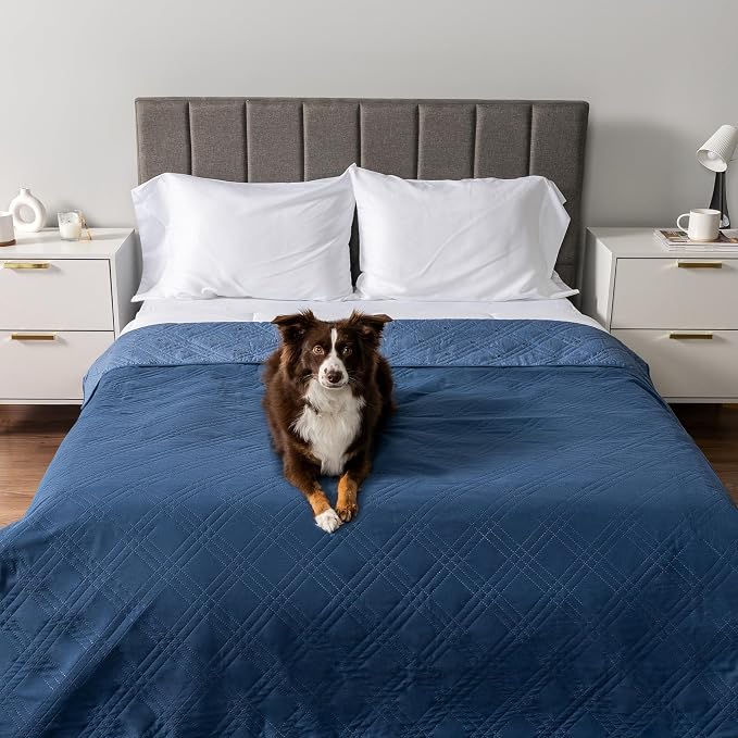 PetAmi Waterproof Couch Cover for Dogs, Non-Slip Leakproof Sofa Furniture Protector for Pet Cat, Machine Washable Bed Blanket for Car Seat, 102x82 Blue