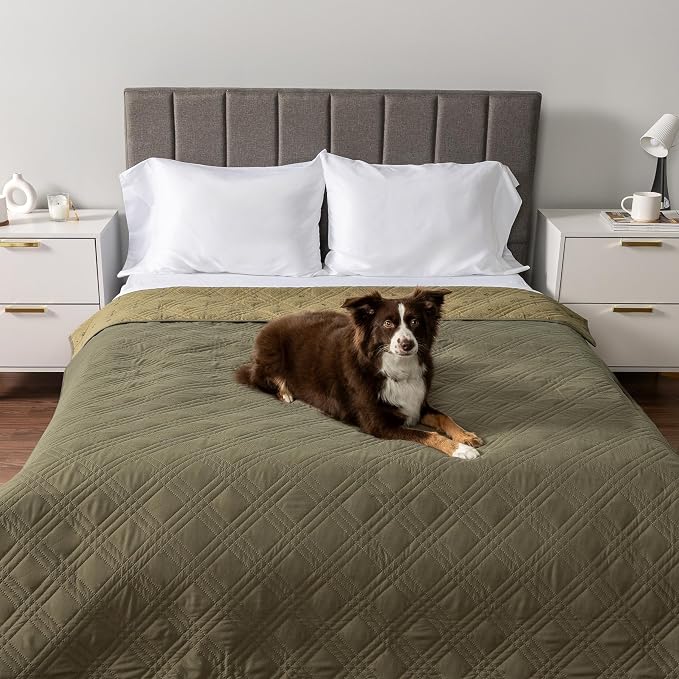 PetAmi Waterproof Couch Cover for Dogs, Non-Slip Leakproof Sofa Furniture Protector for Pet Cat, Machine Washable Bed Blanket for Car Seat, 102x82 Green