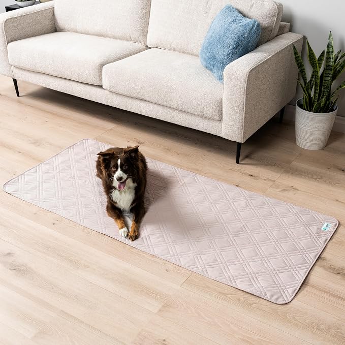 PetAmi Waterproof Couch Cover for Dogs, Non-Slip Leakproof Sofa Furniture Protector for Pet Cat, Machine Washable Bed Blanket for Car Seat, 30x70 Beige