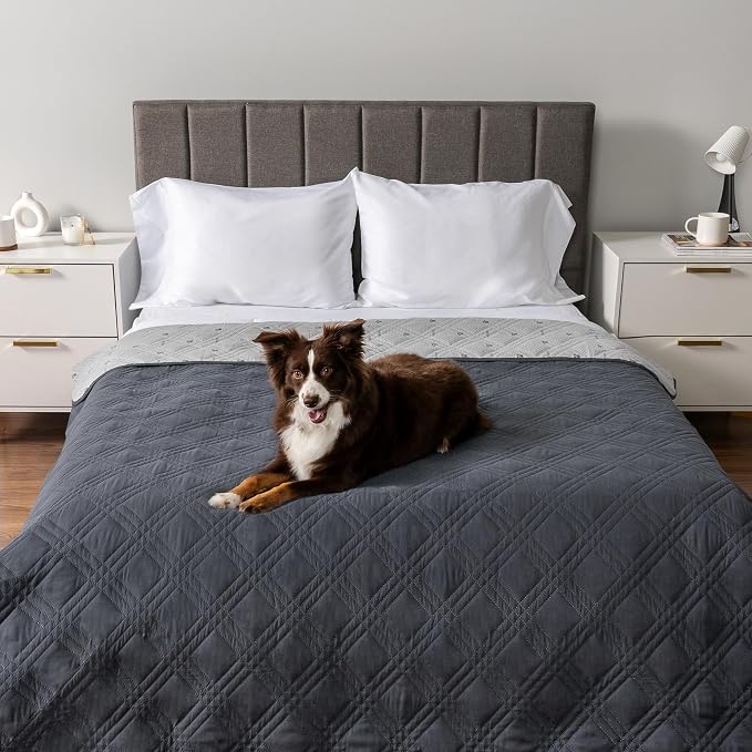 PetAmi Waterproof Couch Cover for Dogs, Non-Slip Leakproof Sofa Furniture Protector for Pet Cat, Machine Washable Bed Blanket for Car Seat, 102x82 Gray