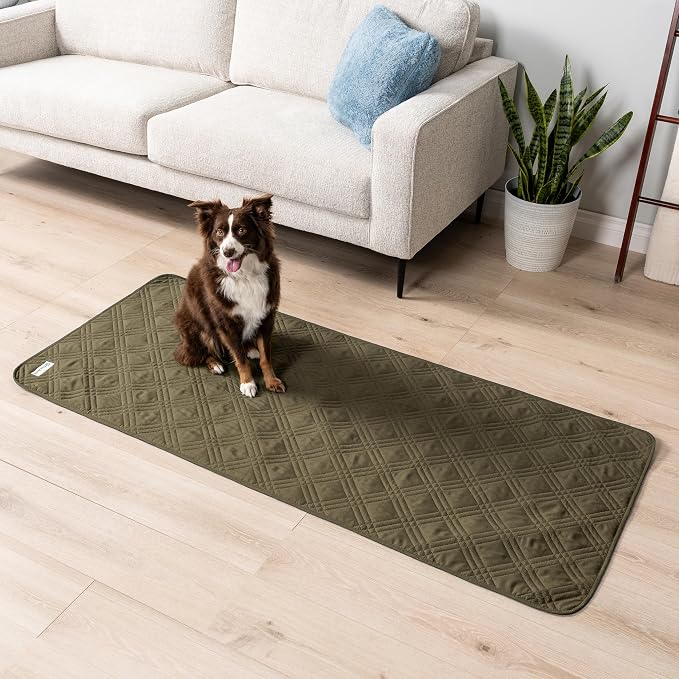 PetAmi Waterproof Couch Cover for Dogs, Non-Slip Leakproof Sofa Furniture Protector for Pet Cat, Machine Washable Bed Blanket for Car Seat, 30x70 Green