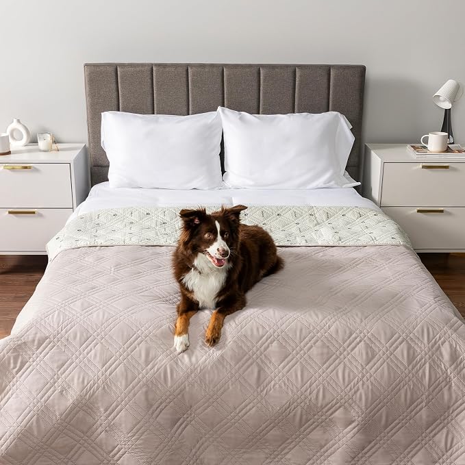PetAmi Waterproof Couch Cover for Dogs, Non-Slip Leakproof Sofa Furniture Protector for Pet Cat, Machine Washable Bed Blanket for Car Seat, 102x82 Beige