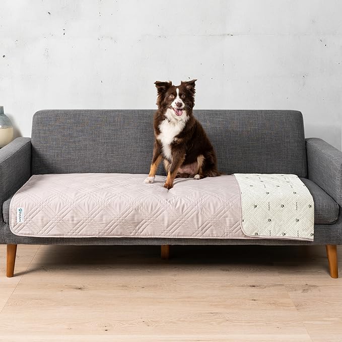 PetAmi Waterproof Couch Cover for Dogs, Non-Slip Leakproof Sofa Furniture Protector for Pet Cat, Machine Washable Bed Blanket for Car Seat, 30x70 Beige
