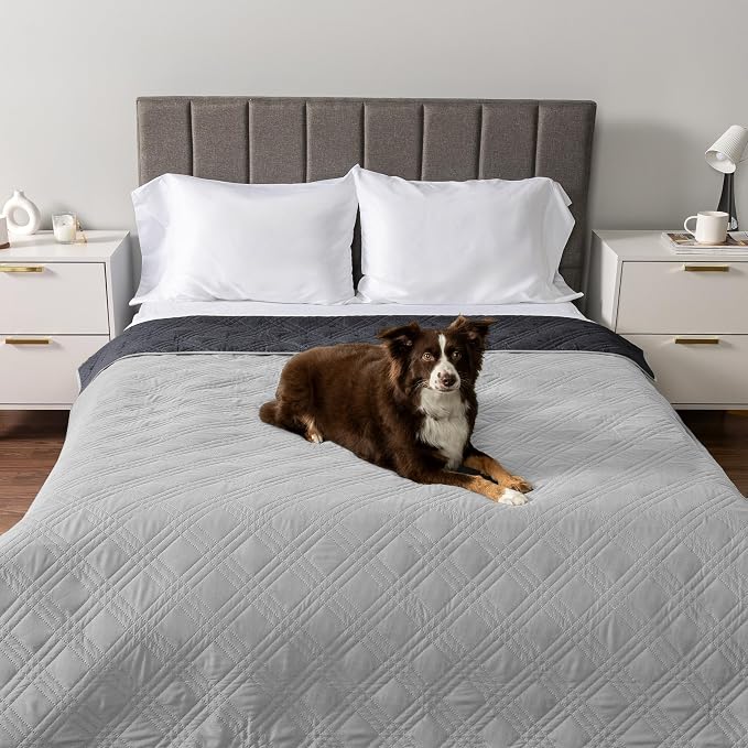 PetAmi Waterproof Couch Cover for Dogs, Non-Slip Leakproof Sofa Furniture Protector for Pet Cat, Machine Washable Bed Blanket for Car Seat, 102x82 Light Gray