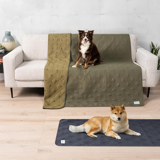 PetAmi Waterproof Couch Cover for Dogs, Non-Slip Leakproof Sofa Furniture Protector for Pet Cat, Machine Washable Bed Blanket for Car Seat, 30x70 Green